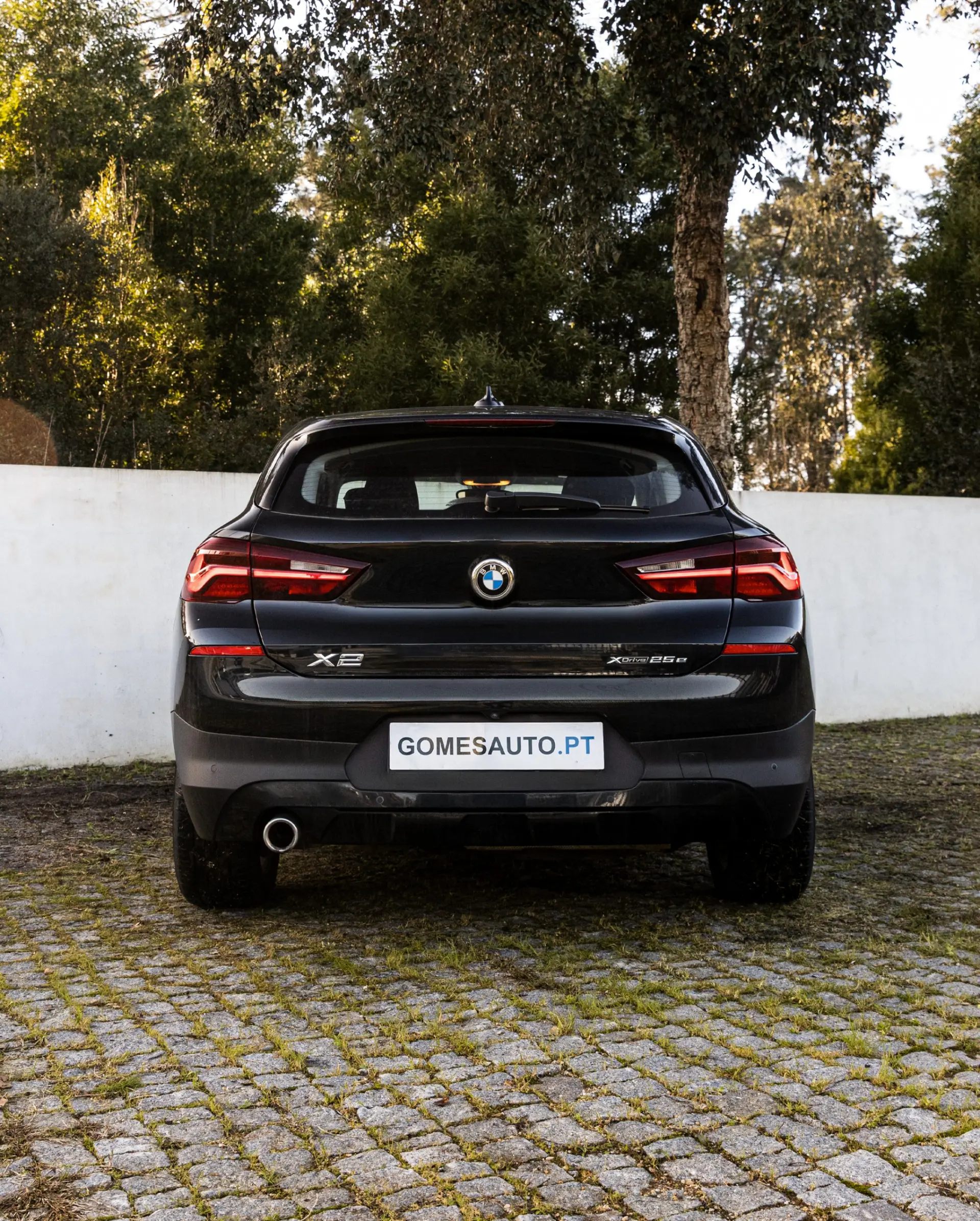 BMW X2 25 e xDrive 4