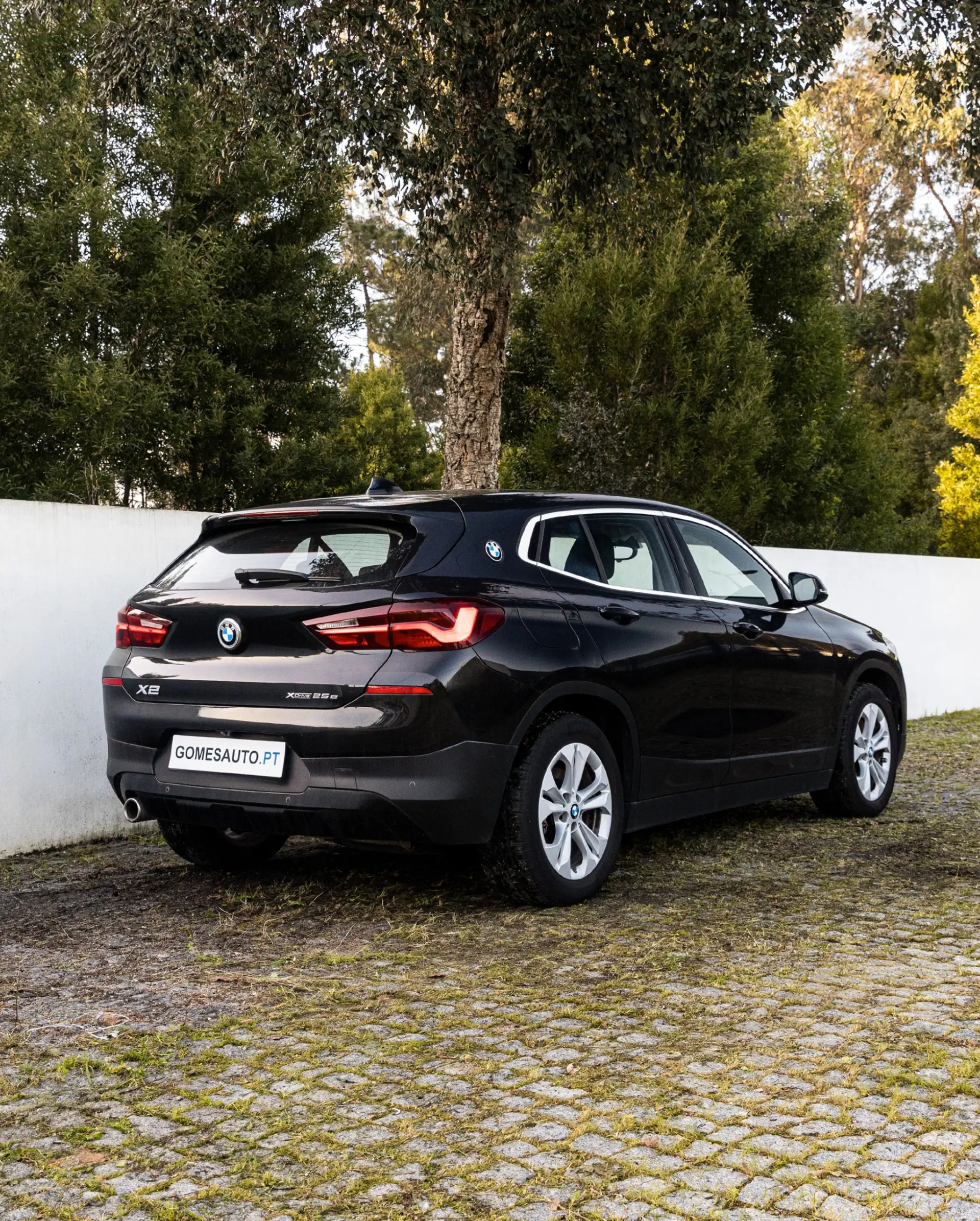BMW X2 25 e xDrive 2