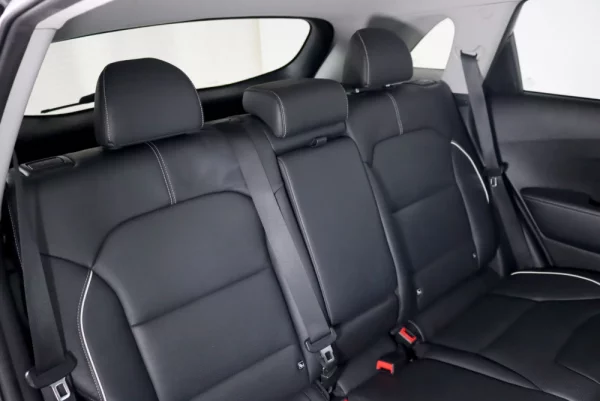 Kia e-Niro 64kWh 33