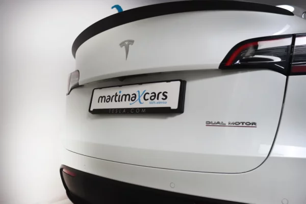 Tesla Model Y Performance Dual Motor AWD 6