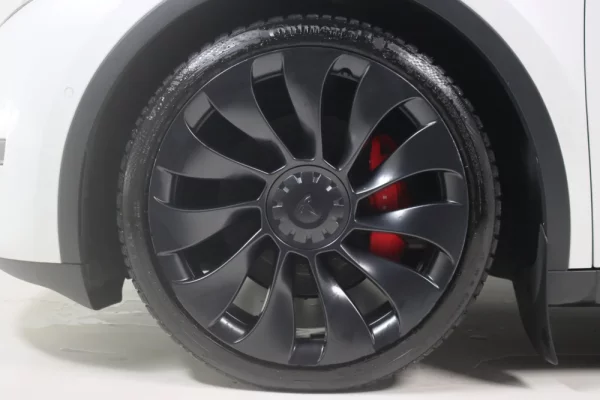 Tesla Model Y Performance Dual Motor AWD 7