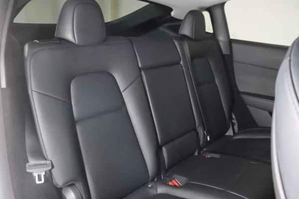 Tesla Model Y Performance Dual Motor AWD 10