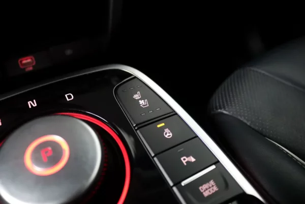 Kia e-Niro 64kWh 17