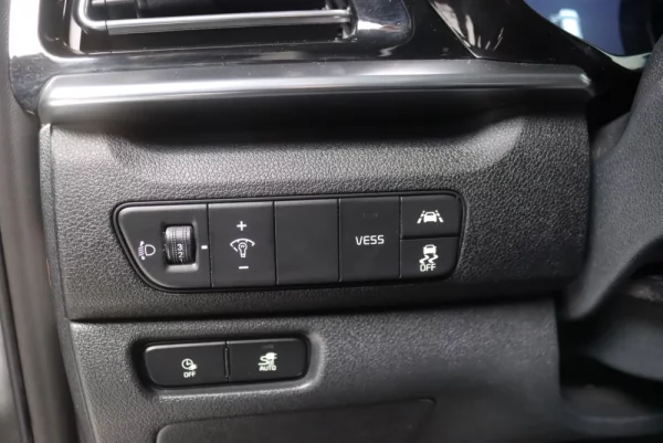 Kia e-Niro 64kWh 20