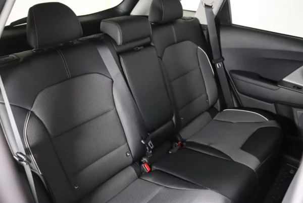 Kia e-Niro 64kWh 22