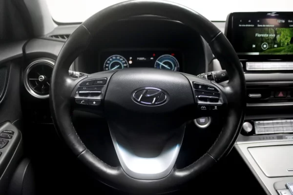 Hyundai Kauai 39 kWh Premium 13