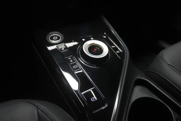Kia e-Niro 64kWh 17