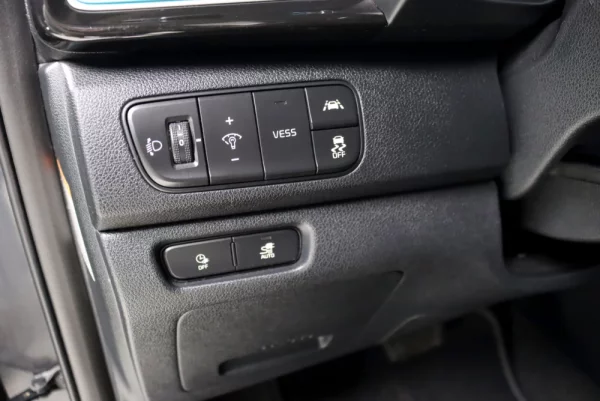 Kia e-Niro 64kWh 8