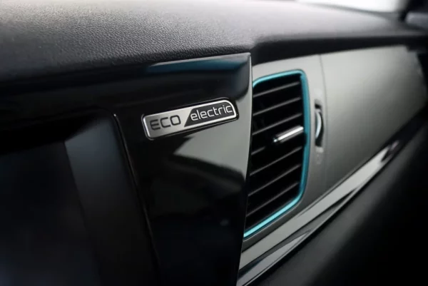 Kia e-Niro 64kWh 9