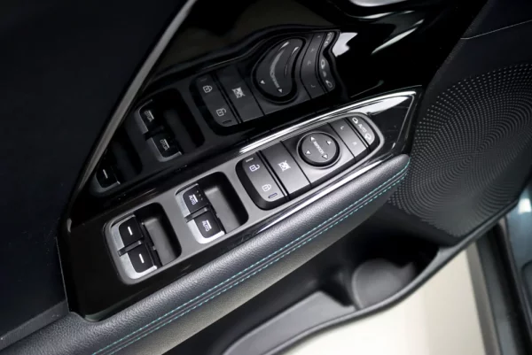 Kia e-Niro 64kWh 21