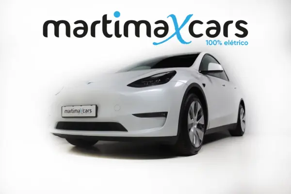 Tesla Model Y Long Range Dual Motor AWD 1