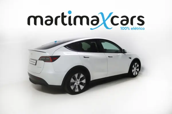 Tesla Model Y Long Range Dual Motor AWD 4