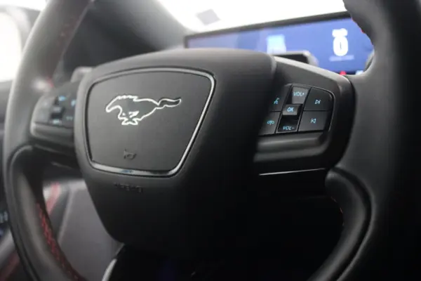 Ford Mustang Mach-E 98.7 kWh Premium AWD 33