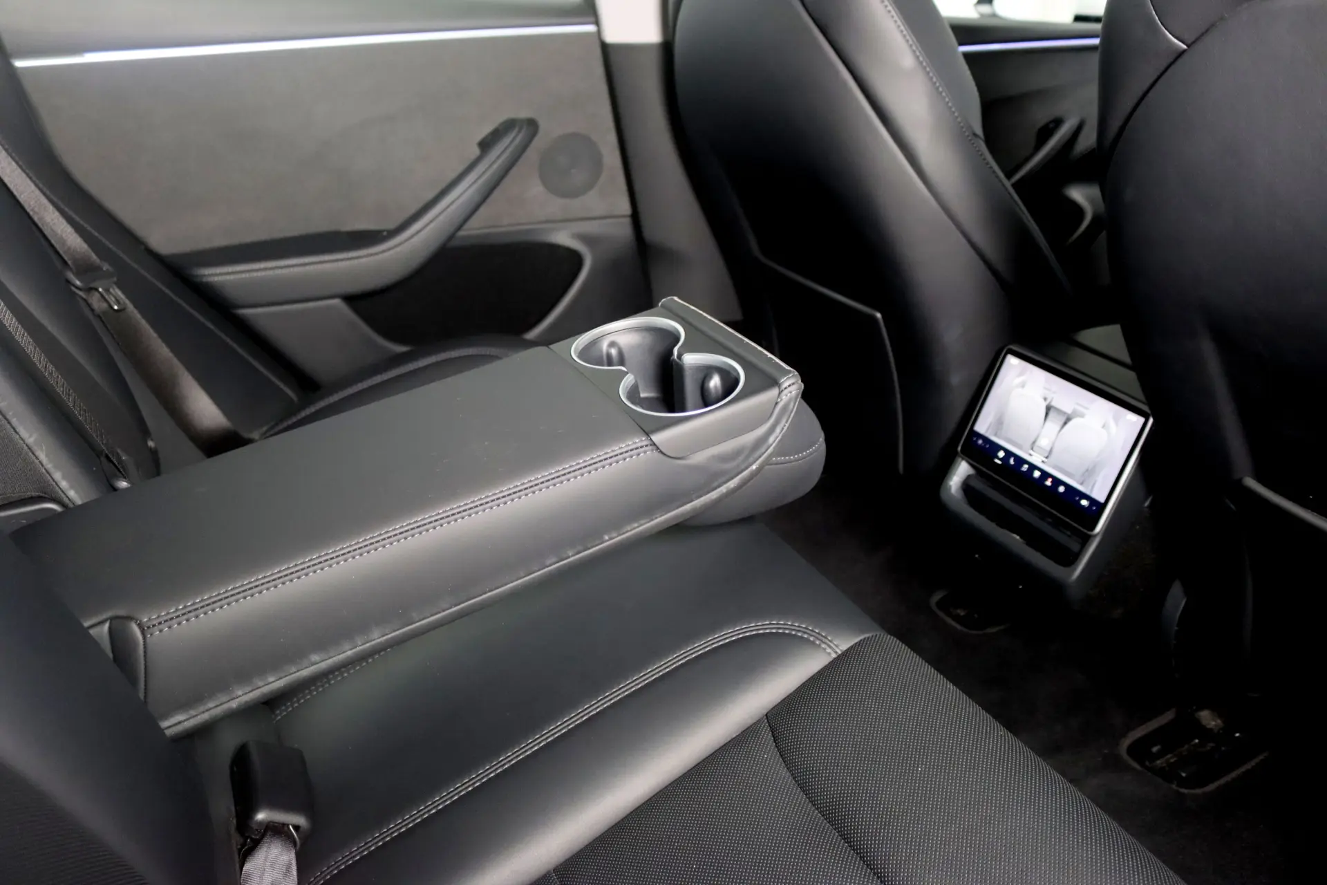 Tesla Model 3 Long Range AWD Dual Motor 17