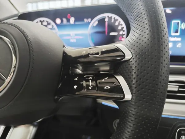 Mercedes-Benz GLE 350 de 4Matic 18