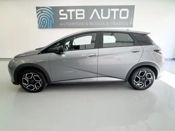 BYD Dolphin 60.4 kWh Comfort 13
