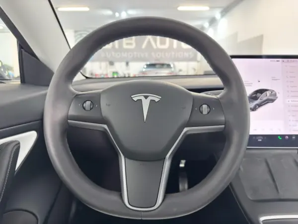 Tesla Model 3 20