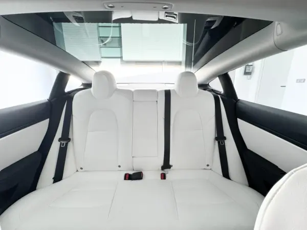Tesla Model 3 19