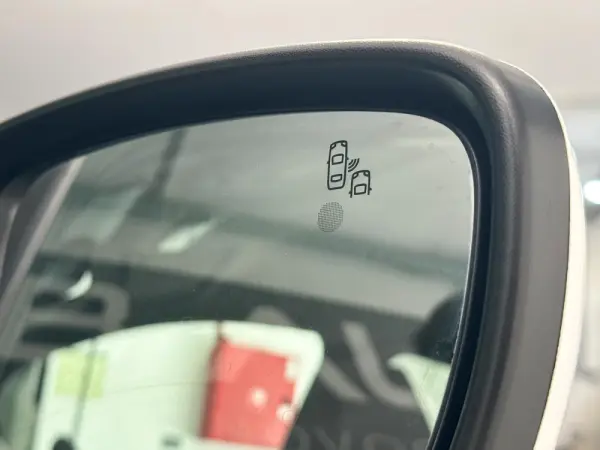 Nissan Leaf 62 kWh e+ N-Connecta 36