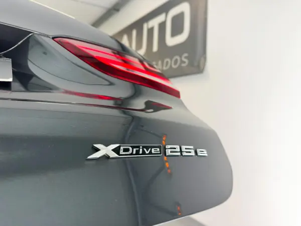 BMW X1 25 e xDrive 11