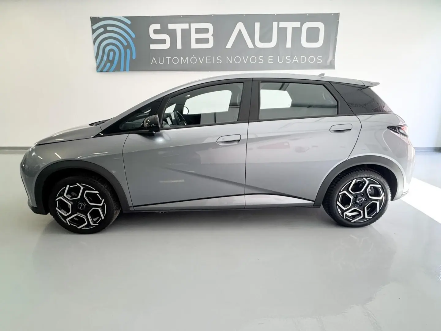 BYD Dolphin 60.4 kWh Comfort 13