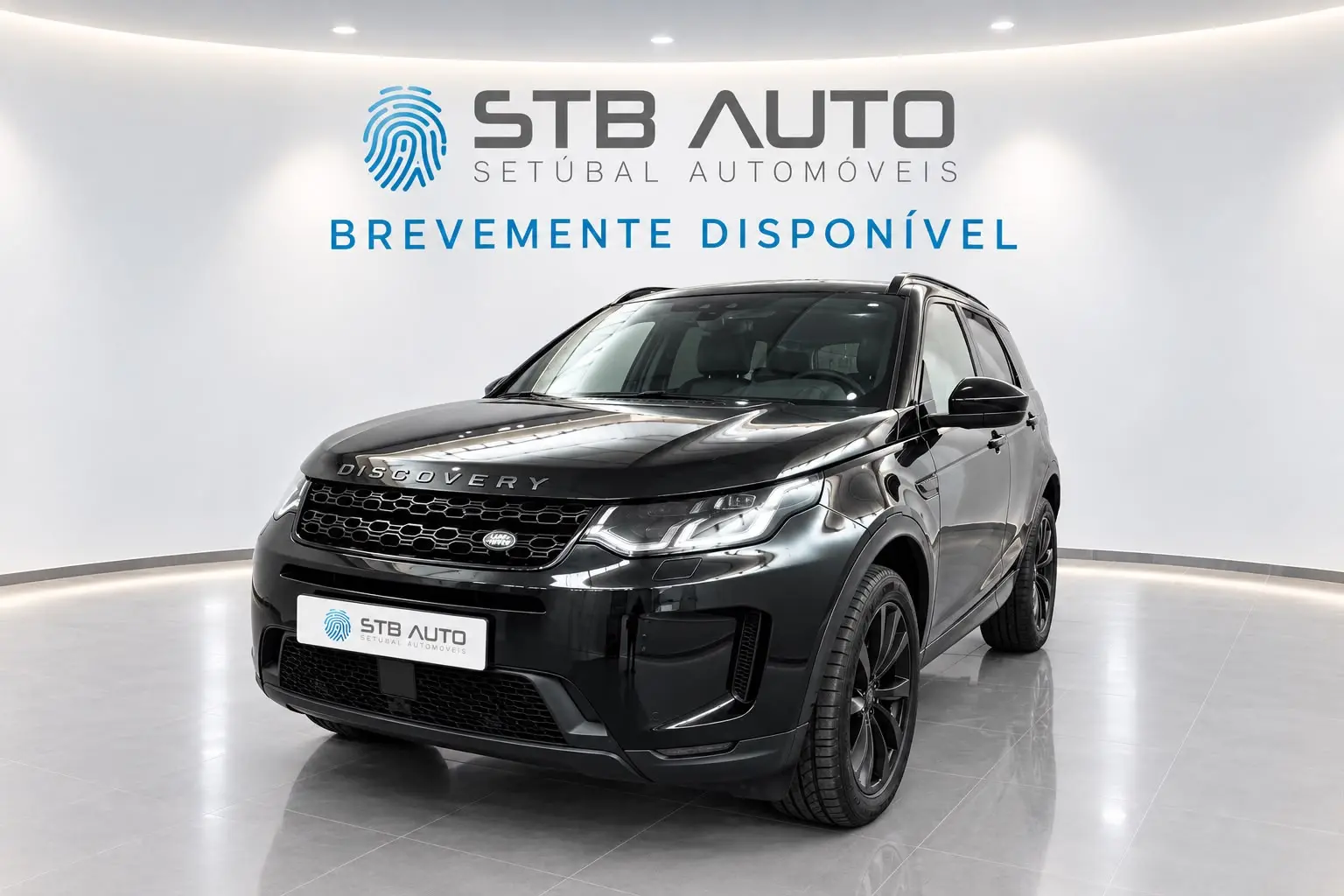 Land Rover Discovery Sport Discovery Sport P300e R-Dynamic SE 1