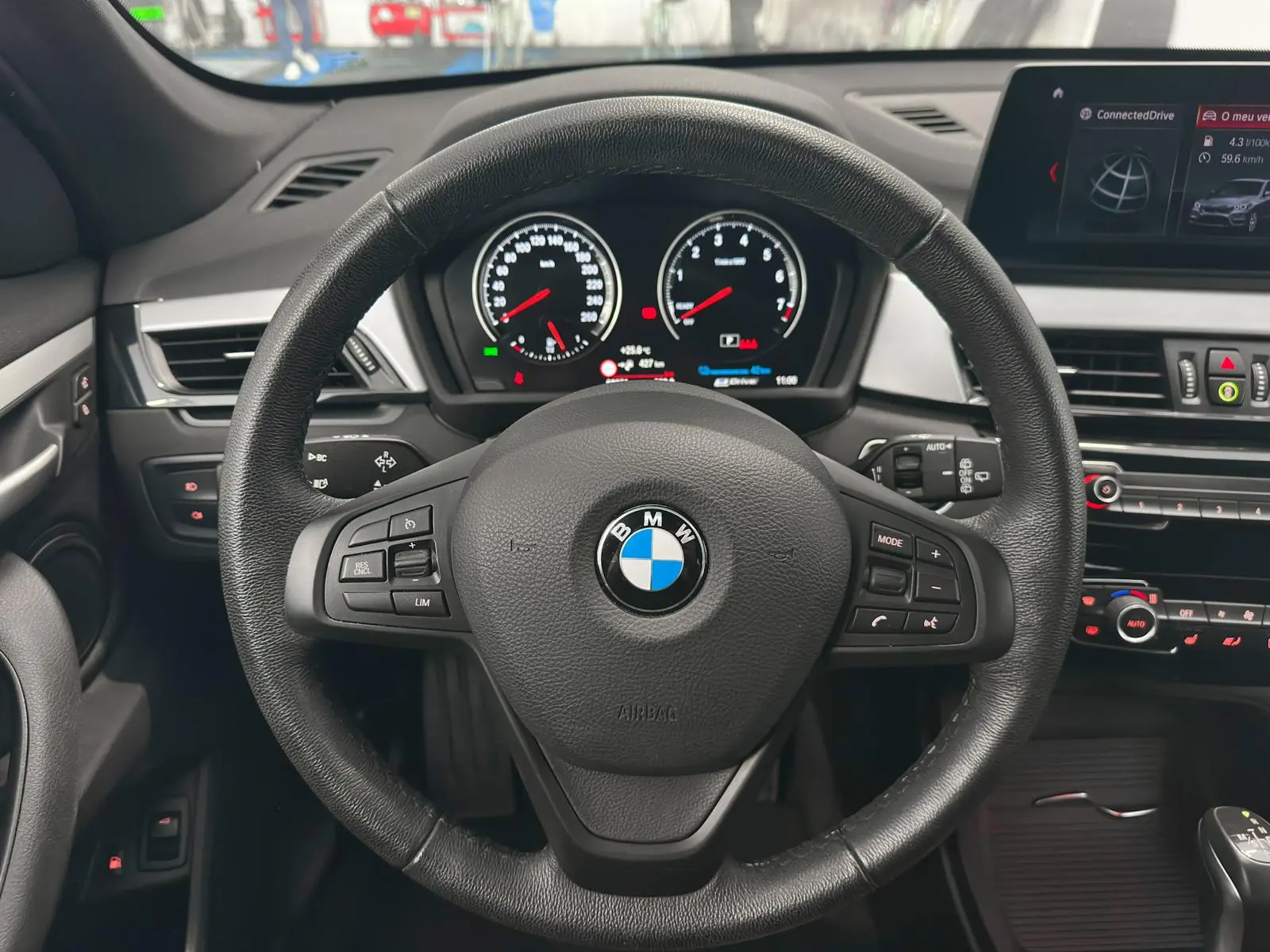 BMW X1 25 e xDrive 21