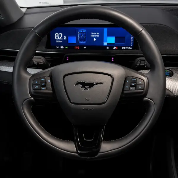 Ford Mustang Mach-E Standard 22