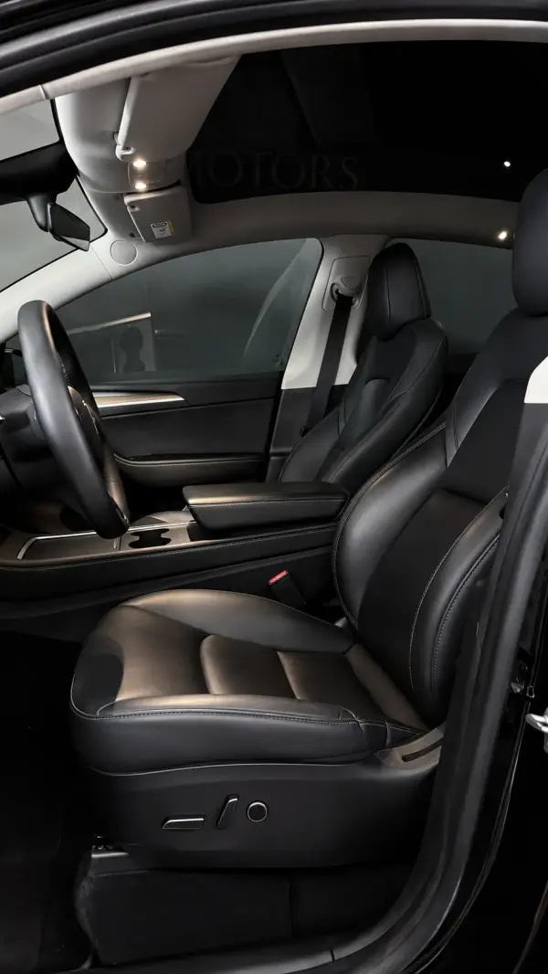 Tesla Model Y Standard 10
