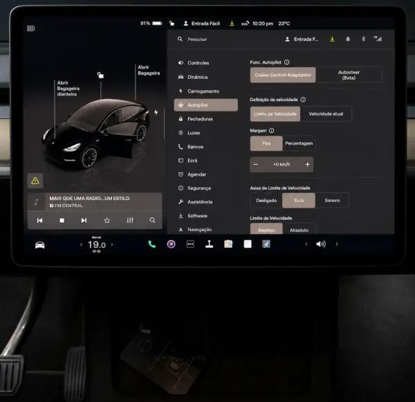 Tesla Model Y Standard 15