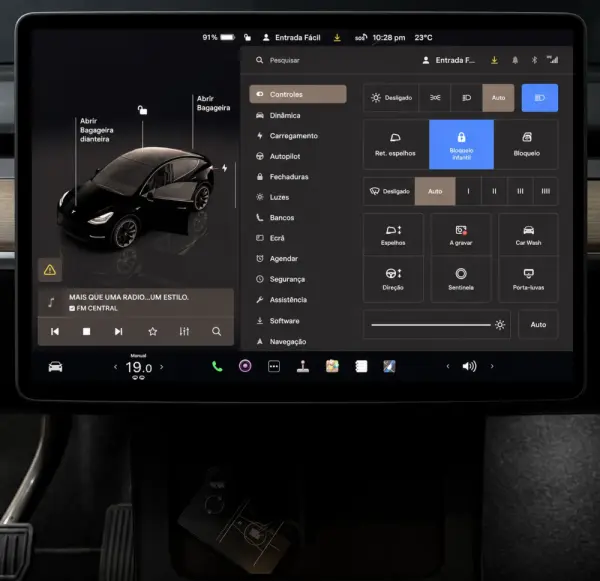 Tesla Model Y Standard 19