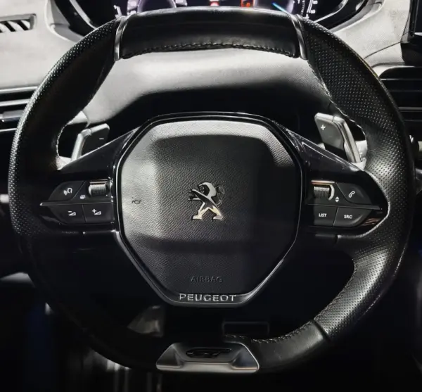 Peugeot 3008 1.5 BlueHDi GT Pack EAT8 16