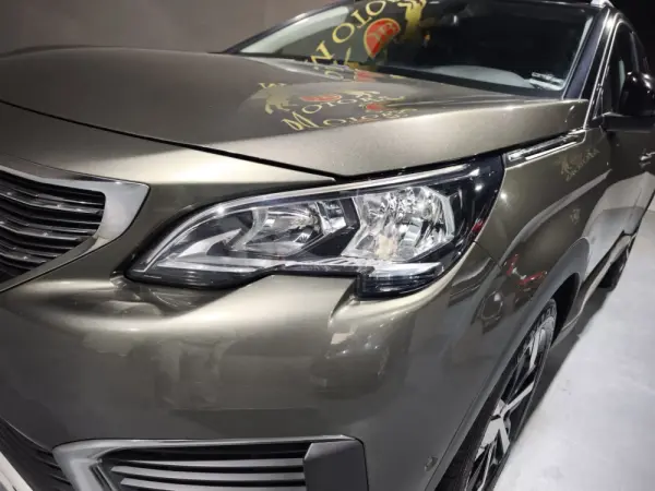 Peugeot 5008 Grip Control 5