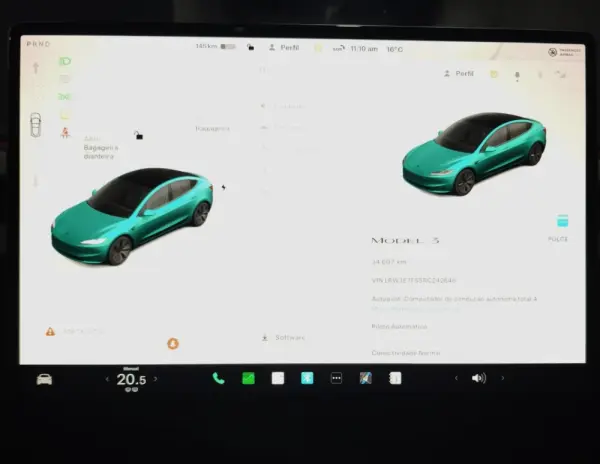 Tesla Model 3 Tração Traseira Standard 14