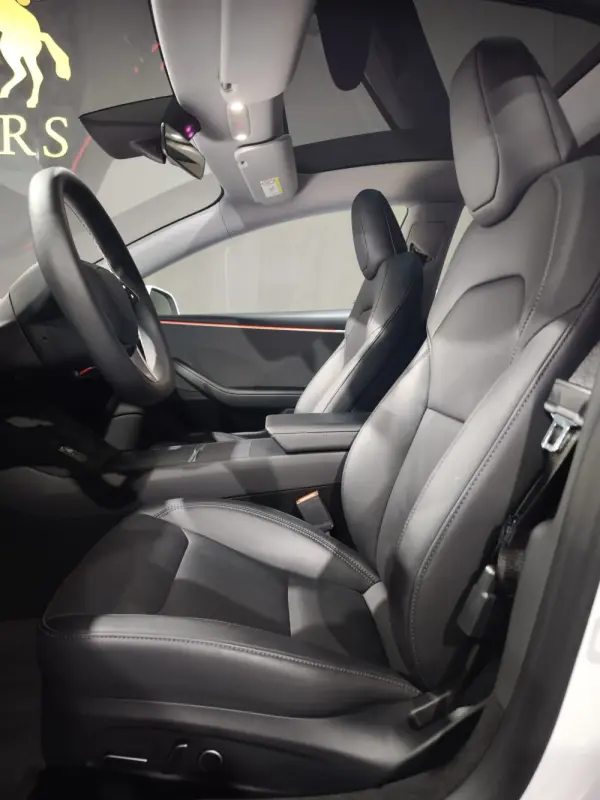 Tesla Model 3 Tração Traseira Standard 12