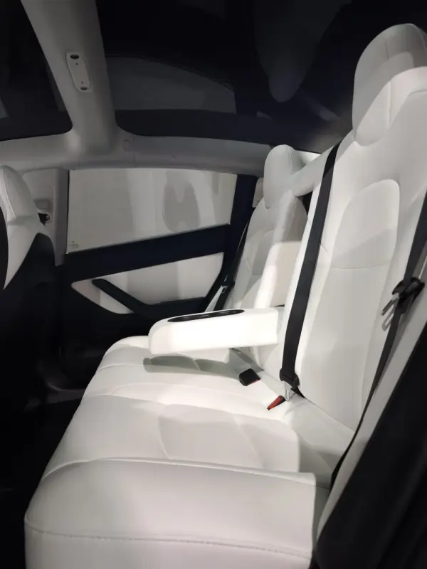 Tesla Model 3 Standrad RWD Plus 12