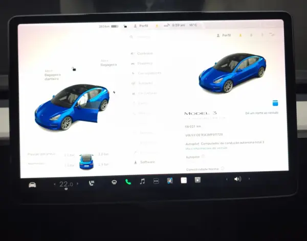 Tesla Model 3 Standrad RWD Plus 18