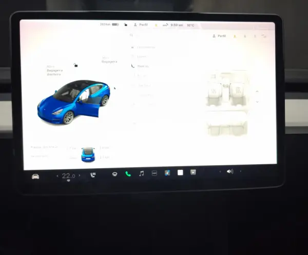 Tesla Model 3 Standrad RWD Plus 19