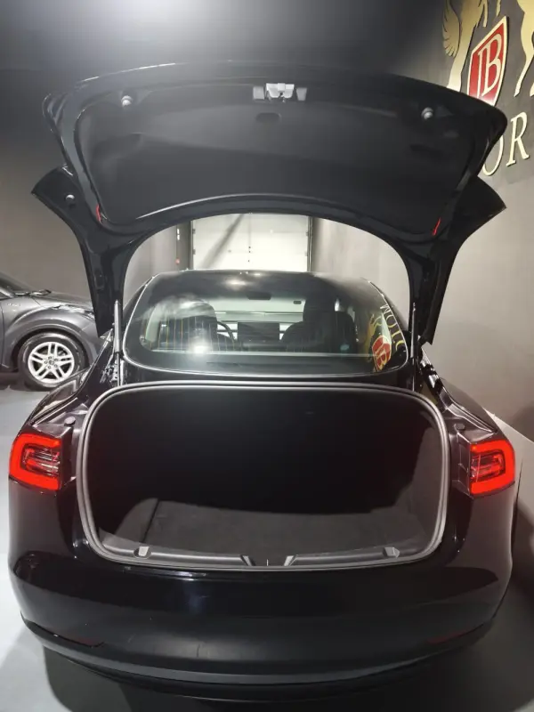 Tesla Model 3 Standard 7