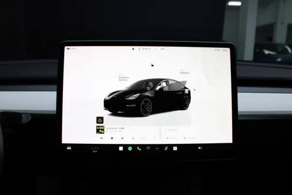 Tesla Model 3 Performance Dual Motor AWD 13