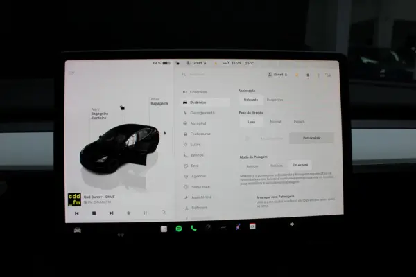 Tesla Model 3 Performance Dual Motor AWD 17