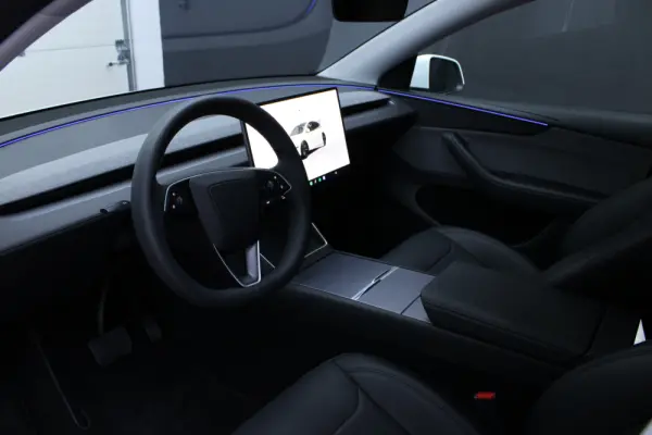 Tesla Model Y Standard 15