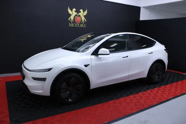 Tesla Model Y Standard 1