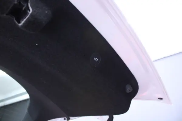 Tesla Model Y Standard 9