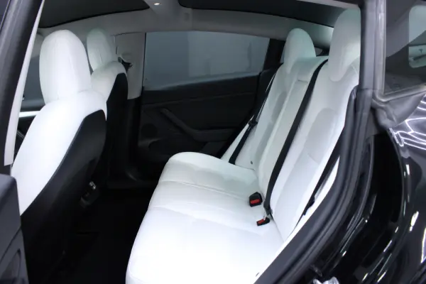 Tesla Model 3 Standard Range Plus RWD 12
