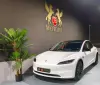 Tesla Model 3 Tração Traseira Premium
