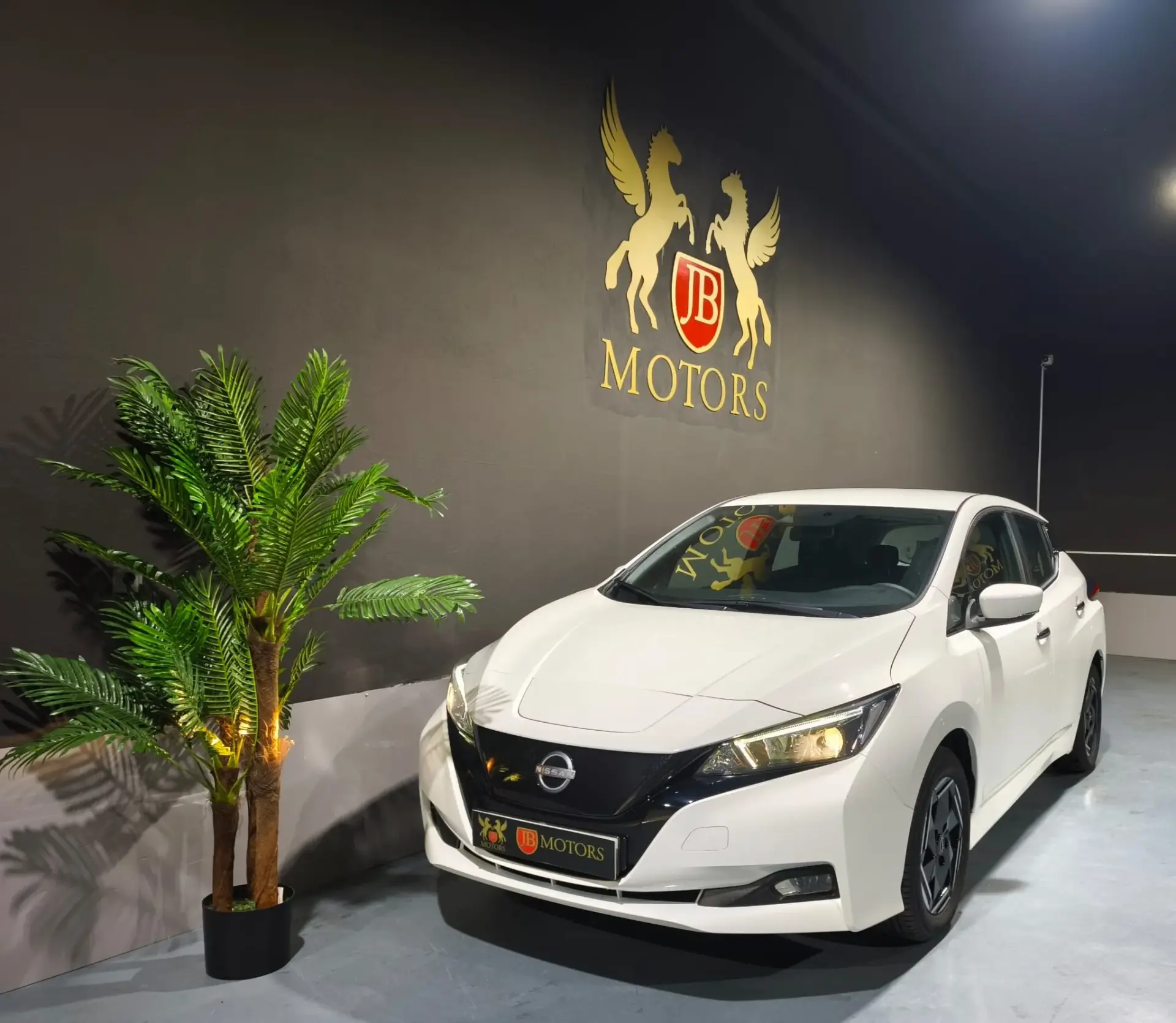 Nissan Leaf N-Connecta Full Led 1