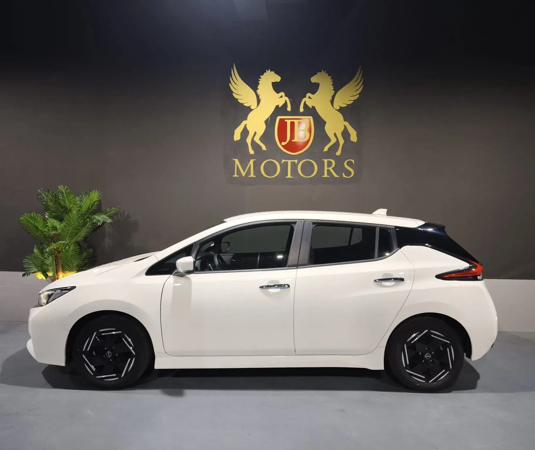 Nissan Leaf N-Connecta Full Led 3
