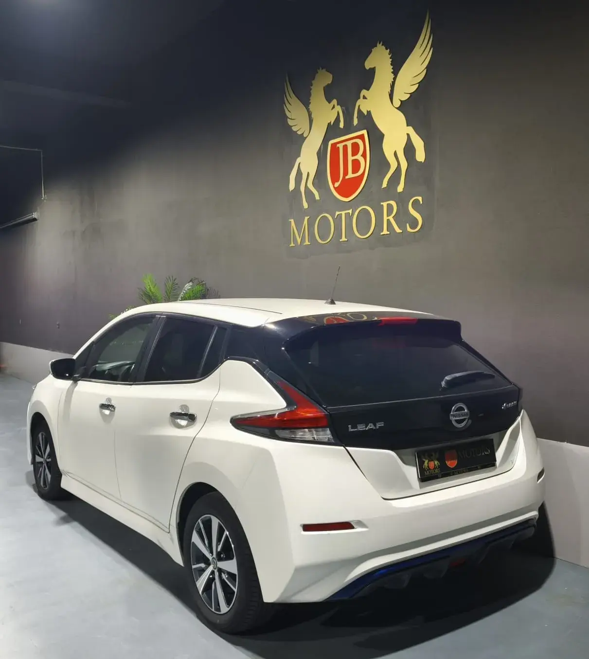 Nissan Leaf N-Connecta Full Led 3