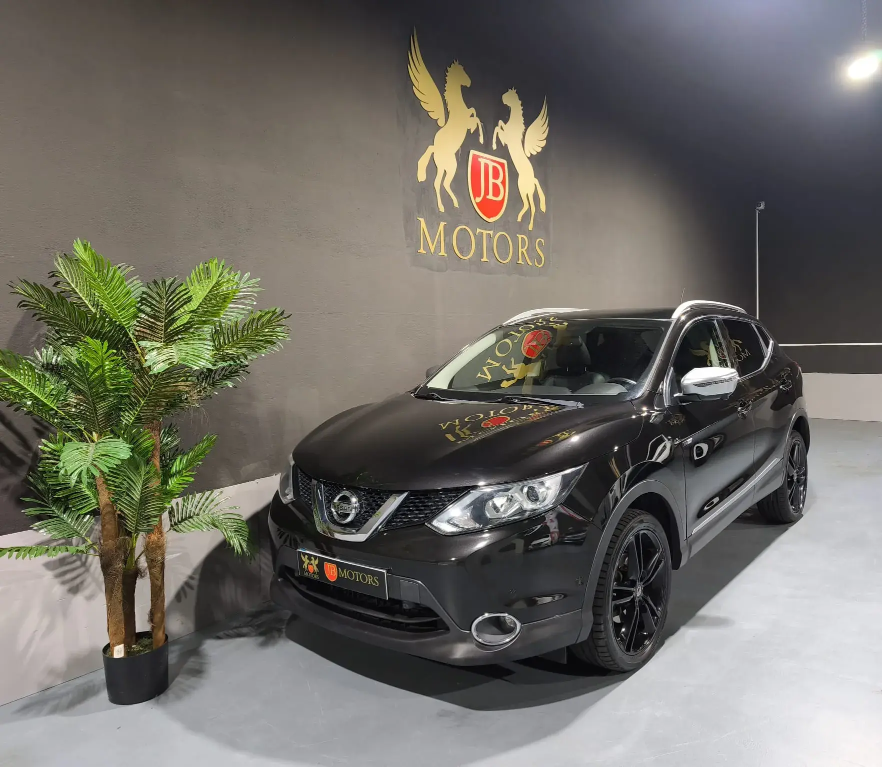 Nissan Qashqai 1.6 dCi Tekna 19 Pele 1